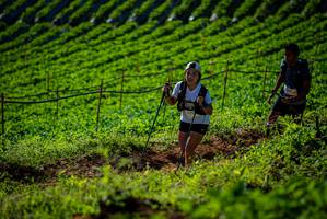 BIB: 975, 
                            <button type="button" onclick="openModal(19160708)" class="btn btn-primary btn-sm float-right btn-popup" data-toggle="modal" data-target=".modal-high-quality">
                        <i class="fas fa-shopping-cart"></i> Add to Cart
                    </button>
                                            <button type="button" onclick="isThisMe(19160708, true)" class="btn btn-success btn-sm float-right btn-popup btn-isme hidden" data-toggle="tooltip" data-placement="bottom" title="นี่คือรูปของคุณใช่ไหม คลิกที่นี่เพื่อเอาเข้าอัลบั้ม">
                        <i class="fas fa-plus"></i> Add to album
                    </button>
                    <button type="button" onclick="isThisMe(19160708, false)" class="btn btn-warning btn-sm float-right btn-popup btn-isnotme hidden">
                        <i class="fas fa-ban"></i> Remove from album
                    </button>